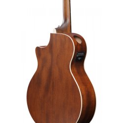 Ibanez AE140-WKH Western Guitar m/mikrofon