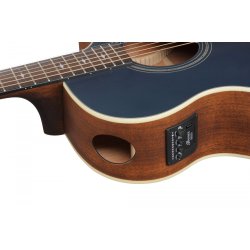 Ibanez AE100-DBF Western Guitar m/mikrofon