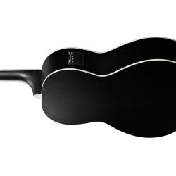 Ibanez PN14MHE-WK western guitar m/mikrofon