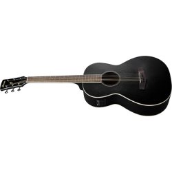 Ibanez PN14MHE-WK western guitar m/mikrofon