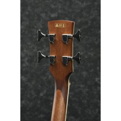 Ibanez PNB14E-OPN  Akustisk bas med mik, Parlor body.