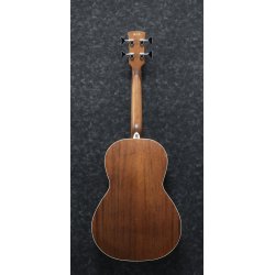 Ibanez PNB14E-OPN  Akustisk bas med mik, Parlor body.