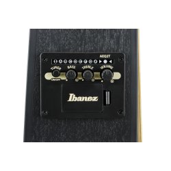 Ibanez TCY621-BOT Talman Serien Western Guitar m/mikrofon (Black Out) 