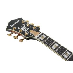 Ibanez RG5170G-SVF Prestige El Guitar