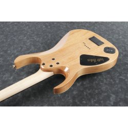 Ibanez LHM1-TGG Luke Hoskin Signatur El Guitar