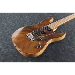 Ibanez TQM1-NT Tom Quayle Signature Elguitar