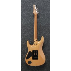 Ibanez TQM1-NT Tom Quayle Signature Elguitar