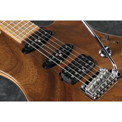 Ibanez TQM1-NT Tom Quayle Signature Elguitar