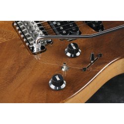 Ibanez TQM1-NT Tom Quayle Signature Elguitar