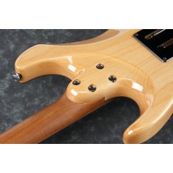 Ibanez TQM1-NT Tom Quayle Signature Elguitar