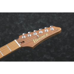 Ibanez TQM1-NT Tom Quayle Signature Elguitar