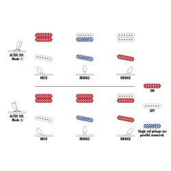 Ibanez AZS2200-MGR AZ Players Player Project Prestige Elektrisk Guitar inkl. kuffert
