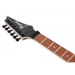 Ibanez RG420EX-BKF RG Standard Elektrisk Guitar 