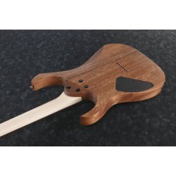 Ibanez RG421-MOL RG Standard