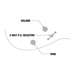 Ibanez RG421S-SEM RG Standard Elektrisk Guitar 