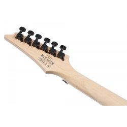 Ibanez RG470DX-SFM RG Standard Serien Elektrisk Guitar (Seafoam Green Matte)