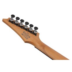 Ibanez RGD61-BAM RGD Standard Serien Elektrisk Guitar (Black Aurora Burst Matte) 