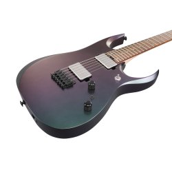 Ibanez RGD3121-PRF RG Prestige Elektrisk Guitar inkl. kuffert 