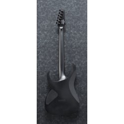Ibanez RGRT421-WK Neck-thru Elguitar