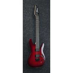 Ibanez S521-BBS Elguitar