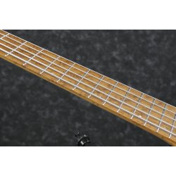 Ibanez EHB1005MS-BKF Bass Workshop Multi-Scale Headless 5-strenget Elektrisk Bas inkl. taske