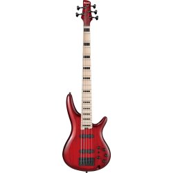 Ibanez ANB205-TWB Elbas med gigbag, Adam Nitti signature
