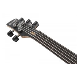 Ibanez GWB25TH-SWF GWB 25th Anniversary Signature Fretless 5-strenget Elektrisk Bas inkl. taske 