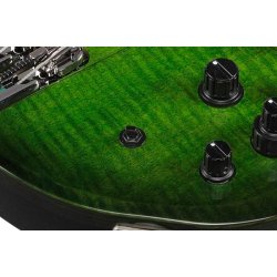 Ibanez SDGB1-DMT Steve Di Giorgo Signatur (Testament) Fretless 5-strenget Elektrisk Bas 