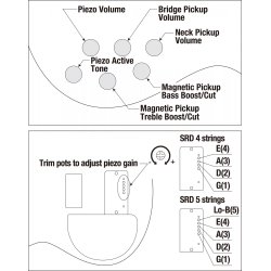 Ibanez SRD905F-BTL Bass Workshop Fretless 5-strenget Elektrisk Bas  