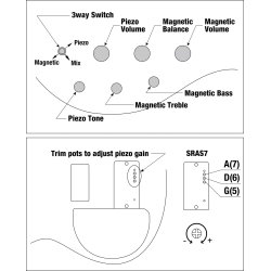 Ibanez SRAS7-CBS Bass Workshop Ashula Fretted/Fretless 7-strenget Elektrisk Bas inkl. kuffert 