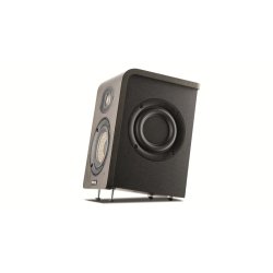 Focal Shape 40 Analog Monitoring System
