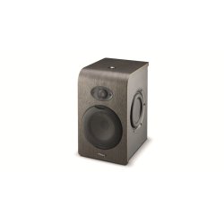 Focal Shape 65 Analog Monitoring System