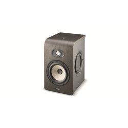 Focal Shape 65 Analog Monitoring System