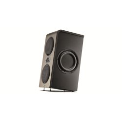 Focal Shape Twin Analog Monitoring System