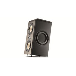 Focal Shape Twin Analog Monitoring System