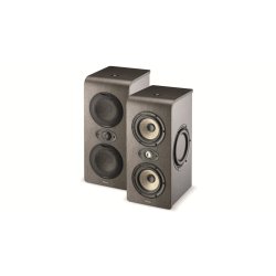 Focal Shape Twin Analog Monitoring System