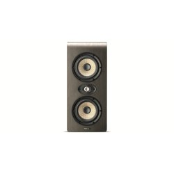 Focal Shape Twin Analog Monitoring System