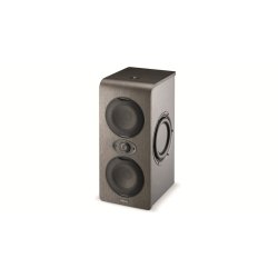 Focal Shape Twin Analog Monitoring System