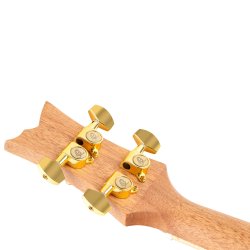 Ortega RUAR-EY Koncert ukulele