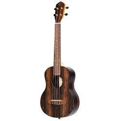 Ortega Tenor ukulele med Gigbag