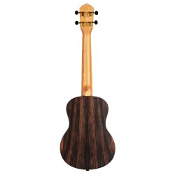 Ortega Tenor ukulele med Gigbag