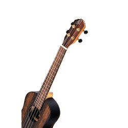 Ortega Tenor ukulele med Gigbag