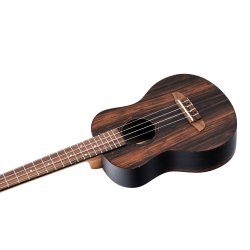 Ortega Tenor ukulele med Gigbag