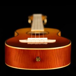 Ortega RUPR-TQB Tenor ukulele inkl. taske 