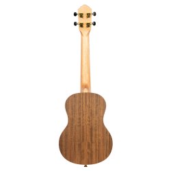 Ortega RUTI-TE Tenor ukulele inkl. taske