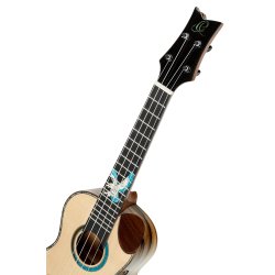 Ortega EAGLESUITE-U koncert ukulele m/mikrofon