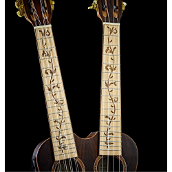 Ortega HYDRA-ZS Twin-neck Tenor ukulele inkl. taske 