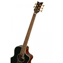 Ortega D8CE-5 5-strenget Akustisk Bas m/mikrofon