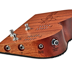 Ortega QUANTUMLOOP stomp box 