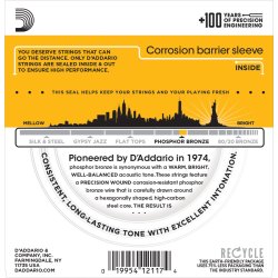 D'Addario Fretted EJ19 Phosphor Bronze Light Medium 012 - 056 Western Guitar Strengest